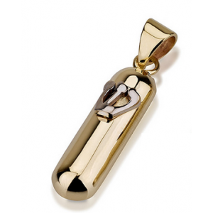 14k Yellow Gold Rounded Mezuzah Pendant with Hebrew Shin in Shiny White Gold  Jewish Necklaces