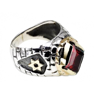 Rafael Jewelry Sterling Silver Ring with Yellow Gold Star of David and Jerusalem Motif & Garnet Jewish Rings