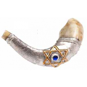 Ram's Horn Polished with Silver Sleeve & Star of David Decoration by Barsheshet-Ribak Shofars