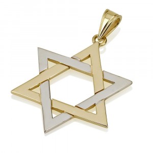 Star of David Pendant in Two-Tone Gold Design by Ben Jewelry Jewish Necklaces