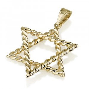 14K Gold Tight Twisted Rope Star of David Pendant by Ben Jewelry
 Jewish Jewelry