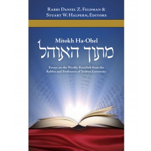 Mitokh Ha-Ohel: Essays on the Parsha from YU – Rabbi Daniel Feldman (Hardcover) Books