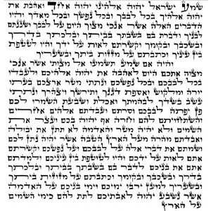 Sephardi Mezuzah Scroll, 15 cm Mezuzah Scrolls