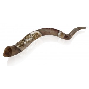 Kudu Horn Shofar with Sterling Silver Lion of Judah Plates Traditional Rosh Hashanah Gifts