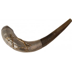 Ram Horn Shofar with Silver Plate and Thin Star of David