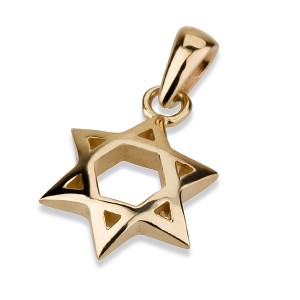 Pendiente de Estrella de David con Forma Convexa en Oro Amarrillo de 14K Jewish Necklaces