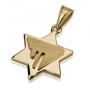 Star of David Pendant with Chai Design in 14k Yellow Gold Jewish Necklaces