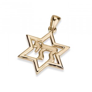 14 Yellow Gold Star of David & Chai Pendant Jewish Necklaces