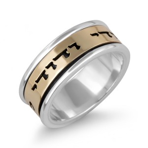 Sterling Silver Customizable English/Hebrew Ring With Gold Band (Optional Spinner) Jewish Rings
