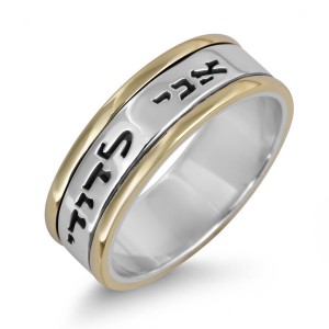Sterling Silver Customizable English/Hebrew Ring With Gold Stripes Jewish Rings