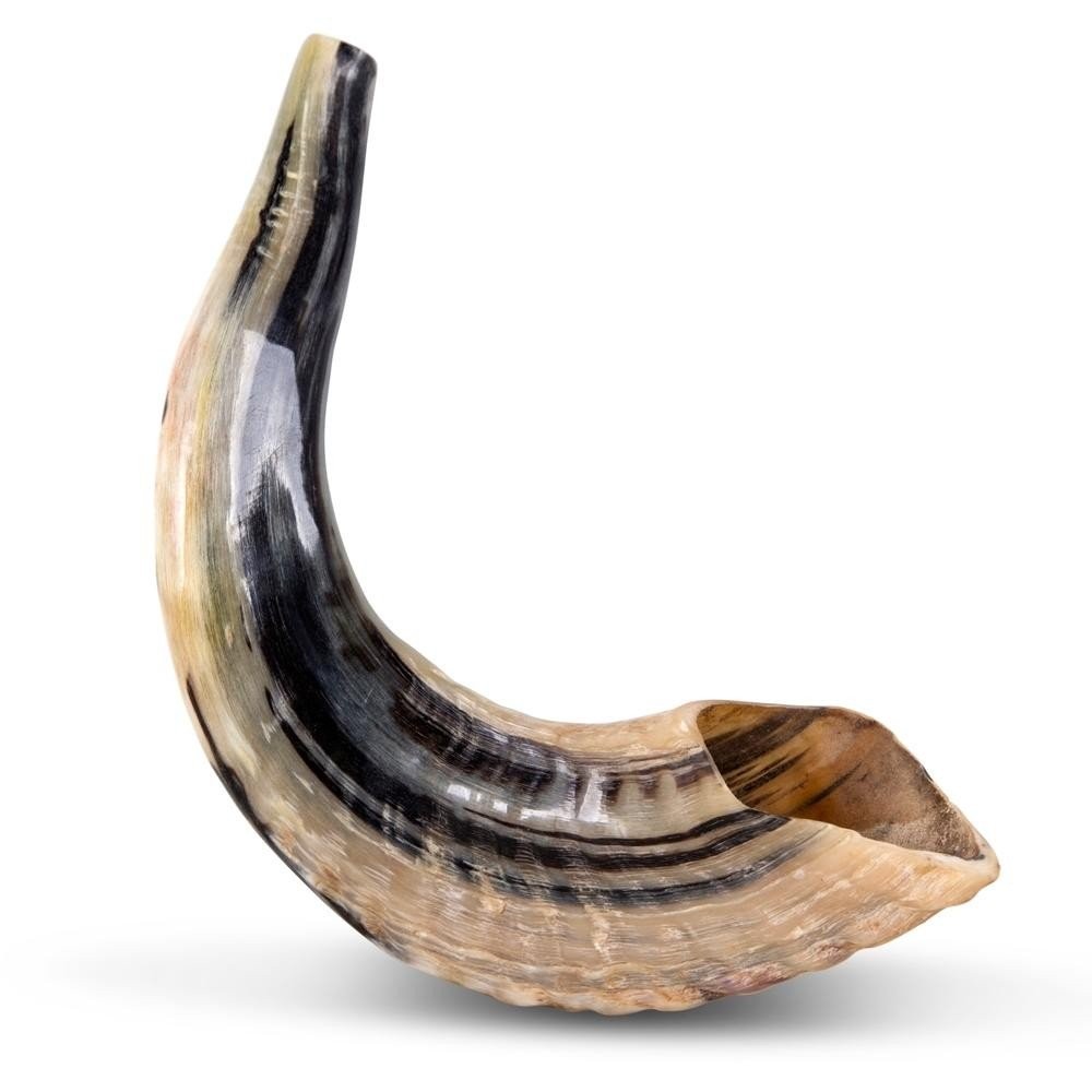 Real Looking Israeli Plastic Shofar Magnificent Real Looking Whistle Shofar Toy 12 2-Pack