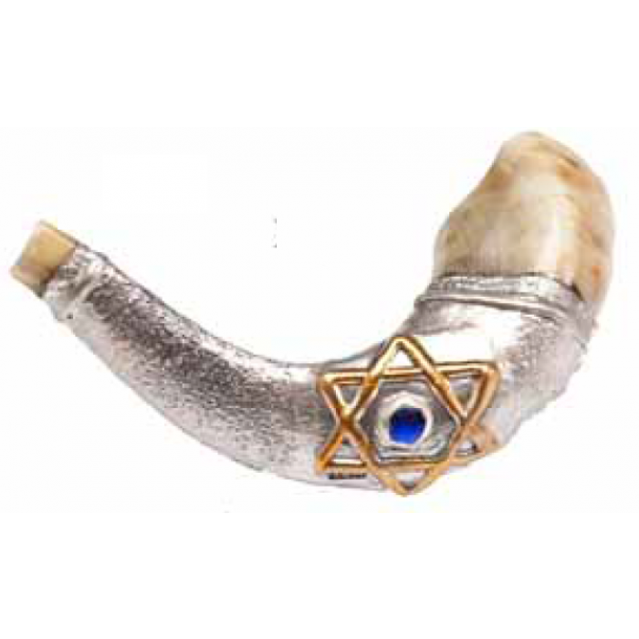 Ram's Horn Polished with Silver Sleeve & Star of David Decoration by Barsheshet-Ribak