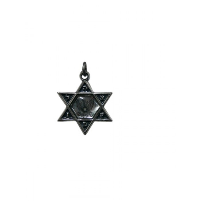 Silver Star of David Pendant with Israel Air Force Insignia and ‘IDF’