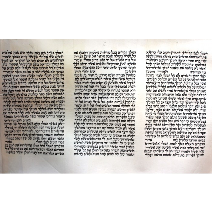 Parchment Megillat Esther Scroll with Sephardic Script in Black Nahari Ink