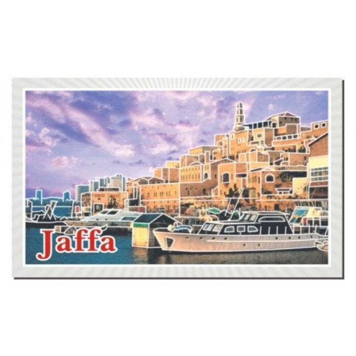 Metallic Magnet with White Outlines and Jaffa Image