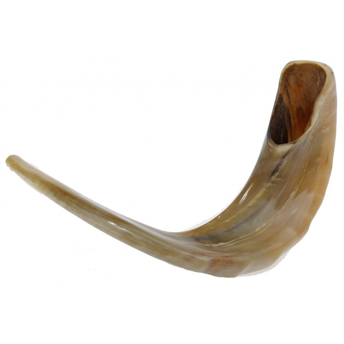 Ram Horn Polished Shofar in light Brown by Barsheshet – Ribak