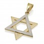 14K Yellow and White Gold Star of David Pendant by Ben Jewelry
