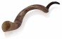 Polished Kudu Horn Shofar with Natural Colours