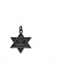 Silver Star of David Pendant with Menorah and IDF in Hebrew and English