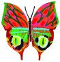 David Gerstein Merav Butterfly Sculpture with Red and Green Sections