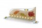 Wave Glass Hanukkah Menorah with Red Flower and Floral Pattern