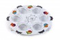 Stainless Steel Seder Plate with Rainbow Pomegranates 