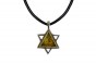 Star of David Pendant with IDF Logo in Plated Silver