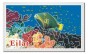 Metallic Magnet with Eilat and Coral Reef