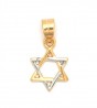 Traditional Rhodium and Gold Plated Star of David Pendant