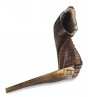 Shofar in Natural Colors from Ram Horn (35-40cm)